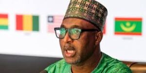 Ghana, Ministry of the Interior, Diaspora Affairs Office of the President,Citizenship,African